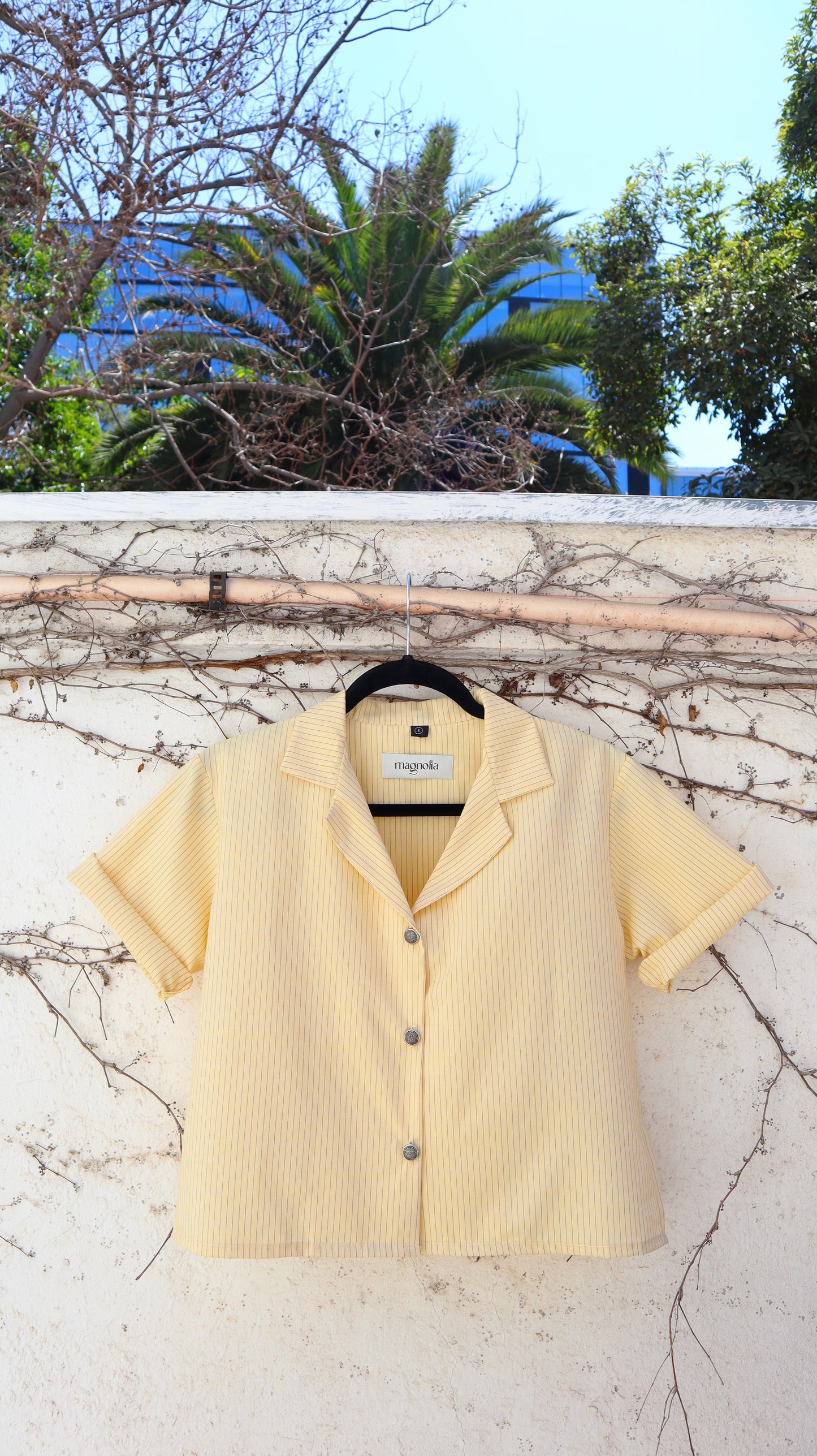 Blusa Berta amarillo listada